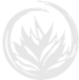 logo-blanc-LCC