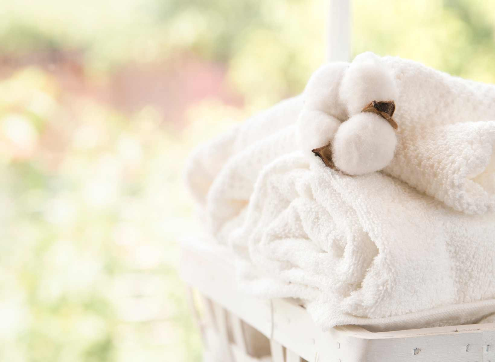 linge blanc-lessive-maison
